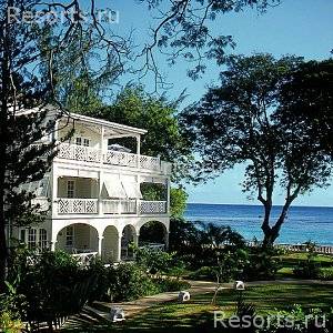 Coral Reef Club 9